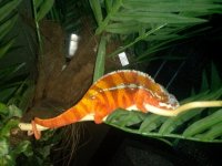 IMG_20130814_011144.jpg