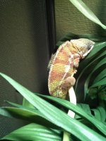 IMG_20130813_175743.jpg