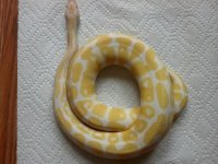IMG_20130904_113204_785.jpg
