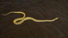 20130512_101253.jpg