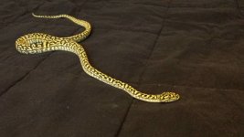 20130512_101324.jpg