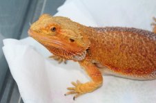 IMG_6541.jpg