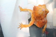 IMG_6536.jpg
