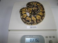 FS Aug 31 13 010.JPG