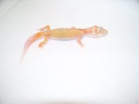 pics 023.jpg