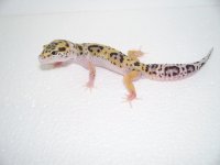 2013 babies 021.jpg