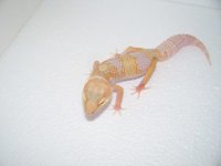2013 babies 008.jpg
