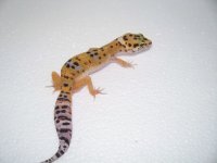 2013 babies 026.jpg