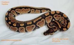 Small Copy (1) of 2012 Normal Female 003tft.jpg