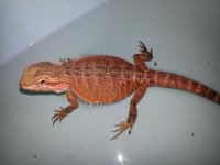 20130802_134054.jpg