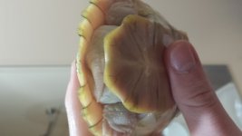 20130712_201539.jpg