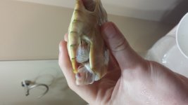 20130712_201509.jpg