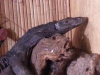 20130803_194913.jpg