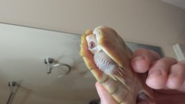 20130712_201401.jpg