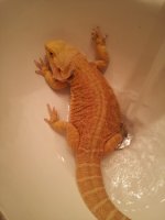 2013-04-15 18.39.33.jpg