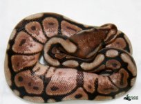 SPS20130627-4.jpg
