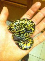 photo(19).jpg