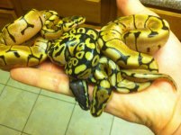 photo(18).jpg