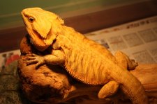 IMG_4834.jpg