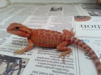20130824_201504.jpg