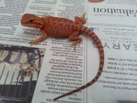 20130824_201501.jpg