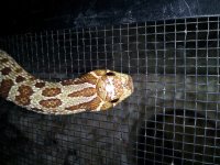 20130823_155602.jpg
