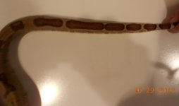 DSCN1129.JPG