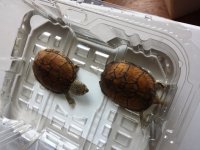 20130923_162153.jpg