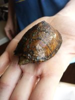20130923_162044.jpg
