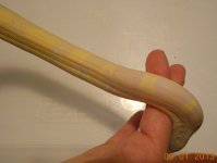 DSCN1048.JPG