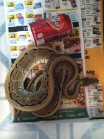 Snakes 032.jpg