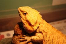 IMG_4833.jpg