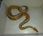 2013091295190213.jpg