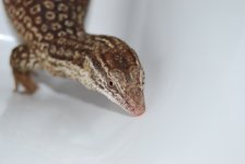 DSC_0320.jpg