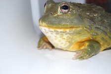 DSC_0300.jpg