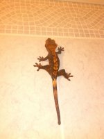 IMG_20130922_093512.jpg