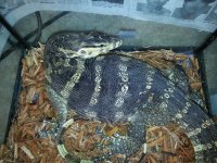 20131102_205615.jpg