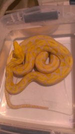 2013-10-03 20.53.02.jpg