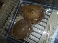 flapshell1.JPG