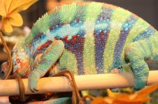 IMG_2029.jpg