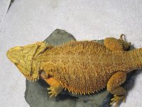 IMG_0367.JPG