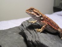 IMG_0373.JPG
