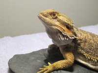 IMG_0372.JPG