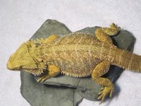 IMG_0359.JPG