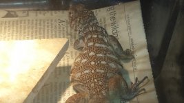 20131106_173325.jpg
