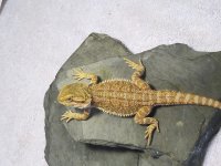 IMG_0349.JPG