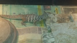 20131106_173047.jpg