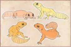 geckos.jpg