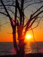 [2012-01] 1-3-2012 4-34-05 PM(4000x3000)  NIKON - COOLPIX P300 (4.9 - 160 - 17.9 - 0.0008) 2012-.jpg