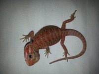 20131016_161402.jpg